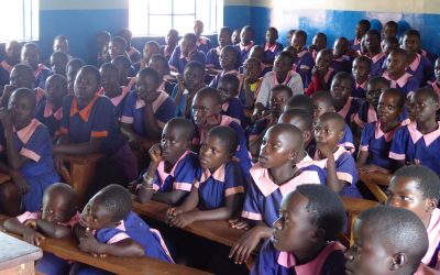 Get involved in our period poverty project