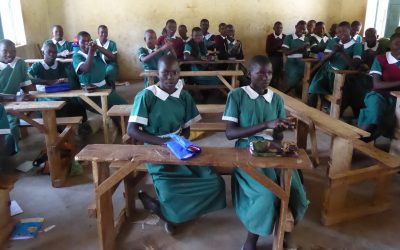 The Impact of the Virus on Girls